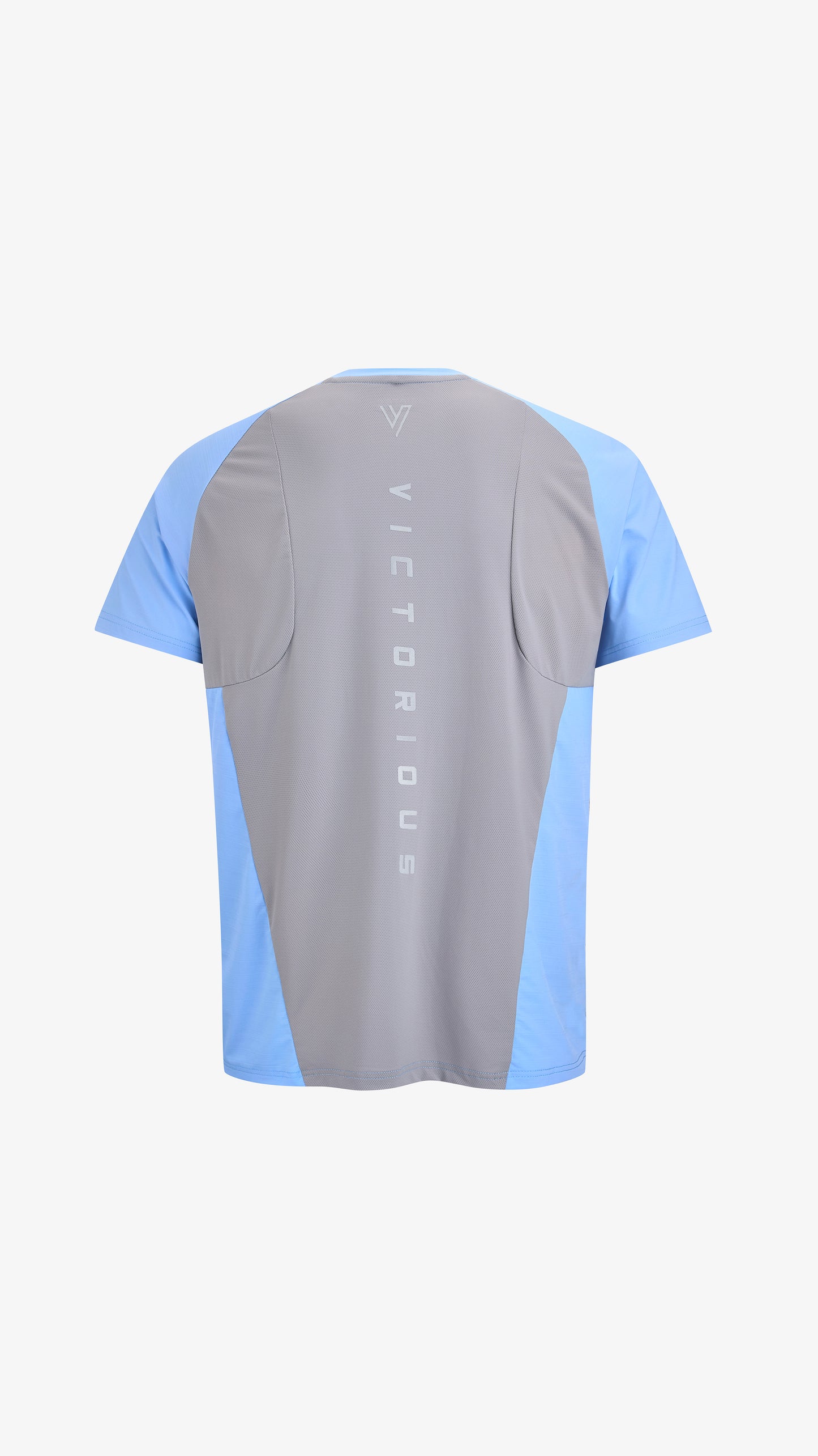 Blue/Grey Editor Training Tee, back view, reflective VICTORIOUS print